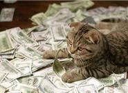 不上征信的贷款平台有哪些