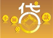 国家小额贷款的利率是多少？