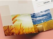 小额贷款的四种常见渠道