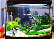 朋友搬家时千万不能送哪些东西?