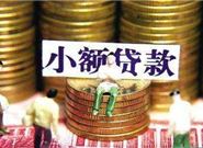 银行小额贷款的主要形式有哪些?