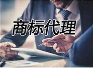 商标注册代办机构的业务范围有哪些?