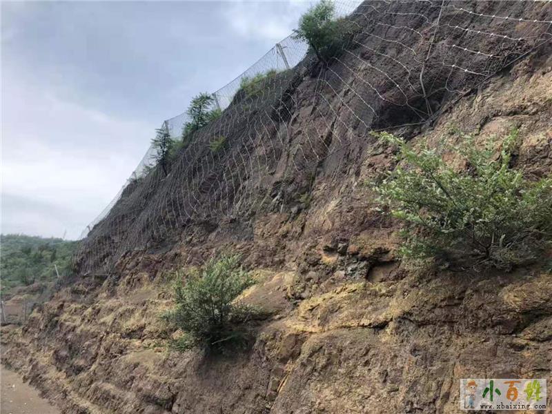 日照山體復綠三維網綠化客土噴播植草網掛網噴漿綠化鐵絲網