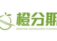 有没有能分期好下款的口子