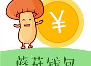 2020年6月还能下款的网贷