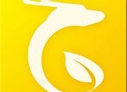 2020年6月还能下款的口子