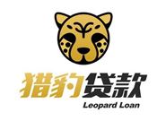 不看负债的大额口子