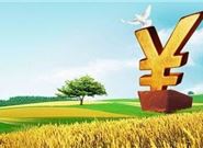 2020年30天网贷新口子哪些