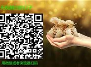 2020年好下款的口子