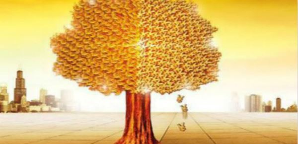 2019无地区限制的口子有哪些？最新的网贷新口子都在这里了！