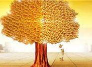 2020最新的网贷新口子