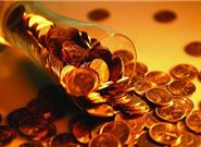 京东白条有哪些优缺点